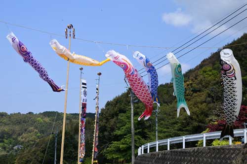 鯉のぼり(鯉幟、こいのぼり) (大村歳時記シリーズ、長崎県 大村の民俗